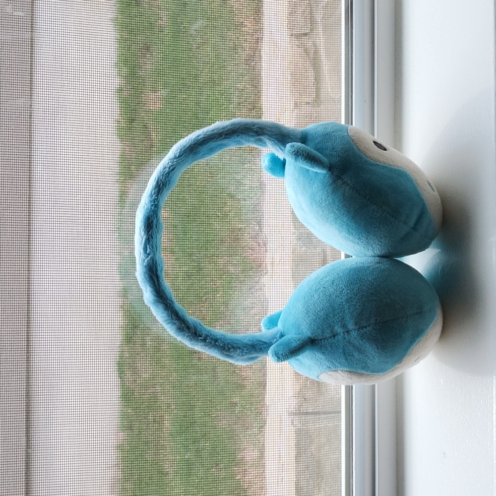 Ear muffs (used to be headphones)